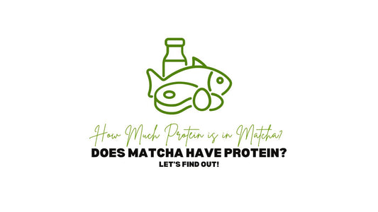 Bevat matcha eiwitten? Hoeveel eiwitten zitten er in matcha?