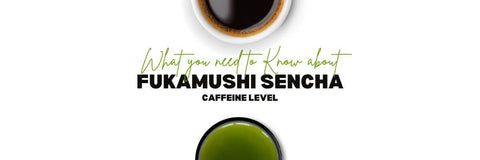 Fukamushi Sencha Cafeïne - Wat u moet weten