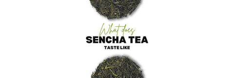 Wat Doet Sencha Thee Smaakt Naar