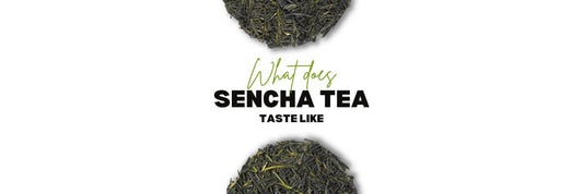 Wat Doet Sencha Thee Smaakt Naar