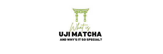 Wat is Uji Matcha en waarom is het de beroemdste thee?