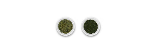 bancha vs Sencha bladeren