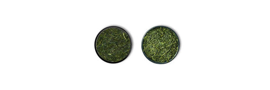 fukamushi vs Sencha