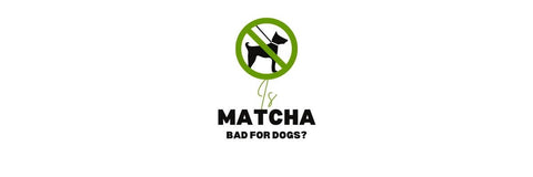 is matcha slecht voor honden
