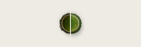 Tencha vs Sencha