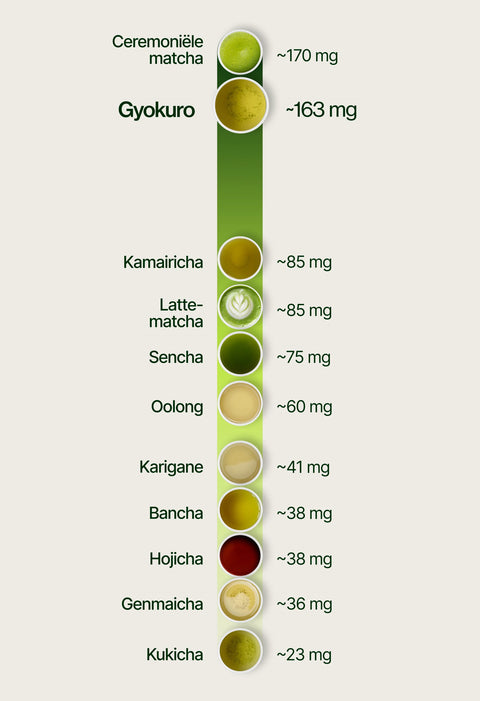 6ad7696f16d05_caffeine_chart_gyokuro_nl.webp