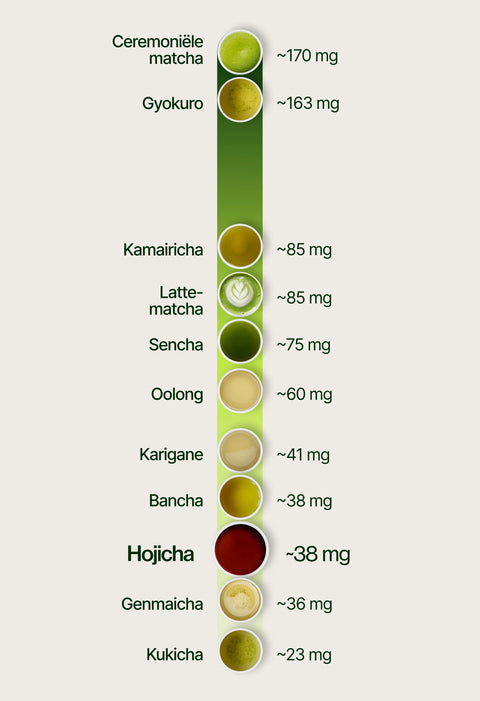 6ad7697110131_caffeine_chart_hojicha_nl.webp