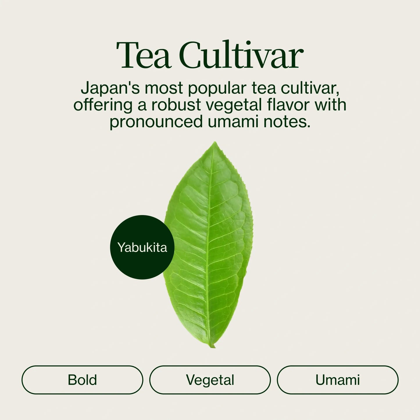 Premium Matcha Latte Poeder