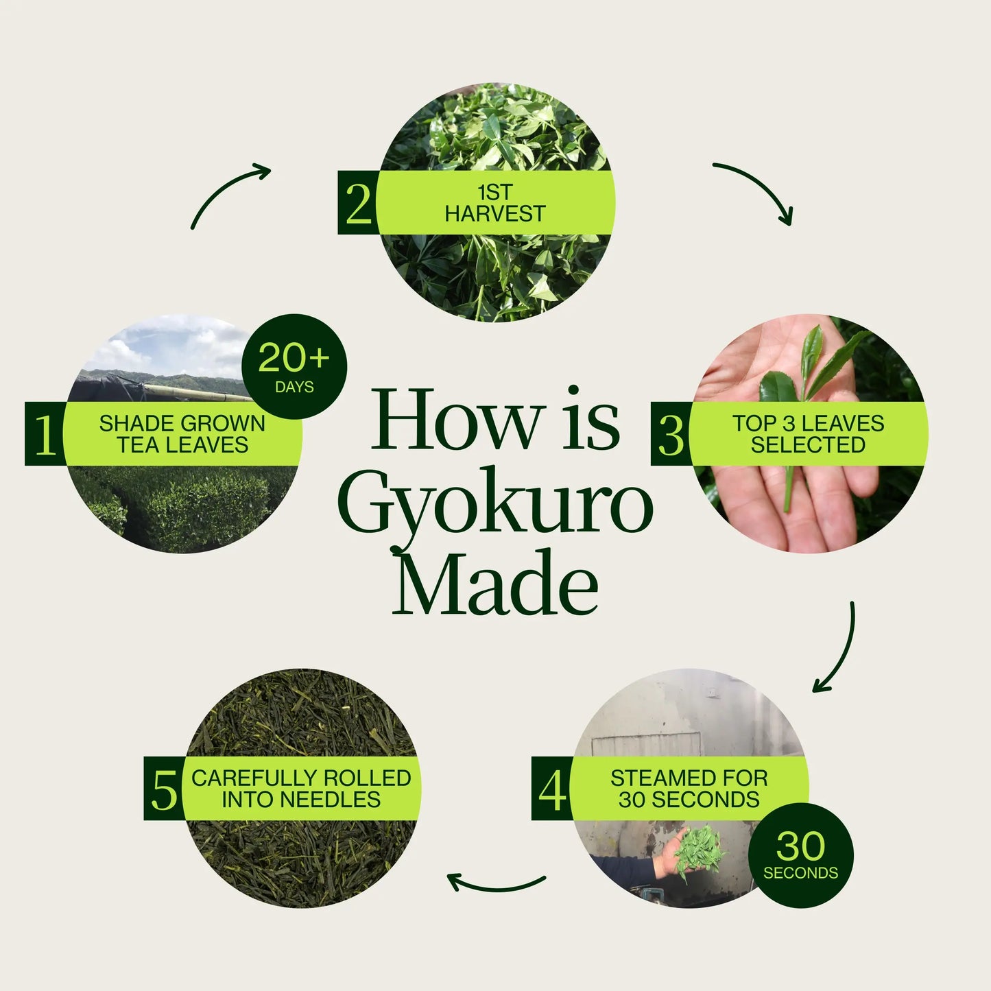 Gyokuro Imperial Green Tea Cha Musume
