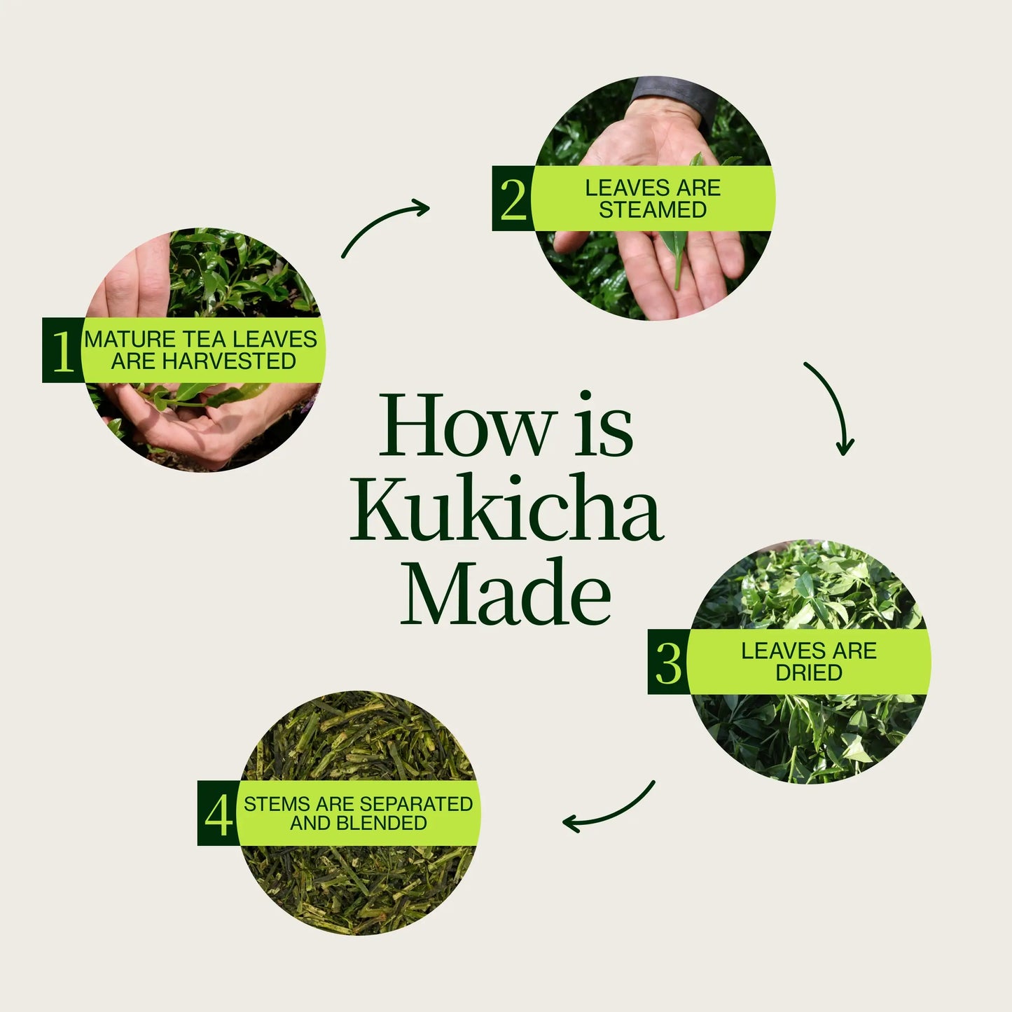 Osada Japanse Kukicha-thee