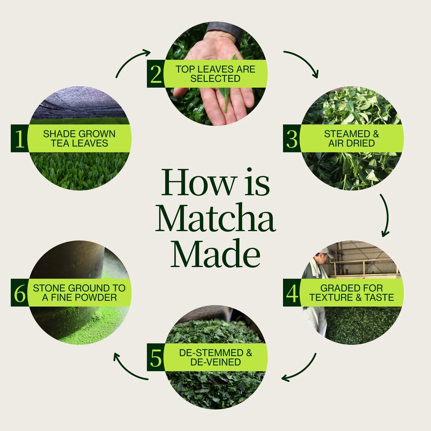 Premium Matcha Latte Poeder