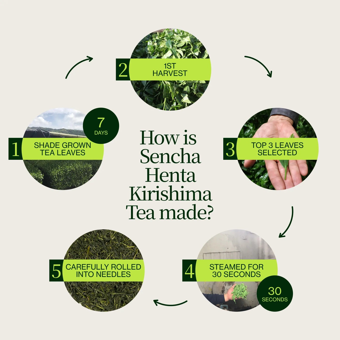 Sencha Henta Kirishima-thee
