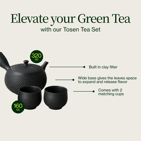 Tosen Kyusu-theepot