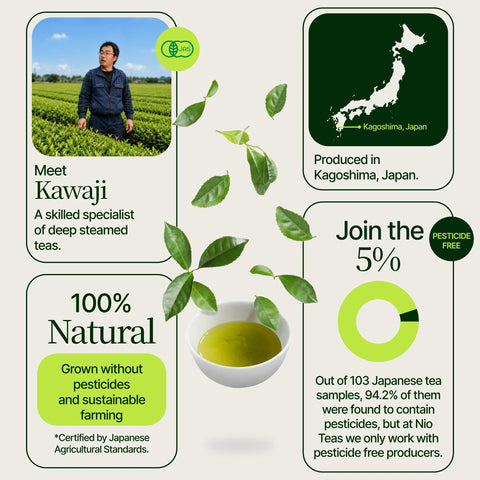 Sencha Kasugaen Asatsuyu