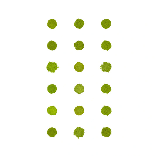 Matcha-proefverpakking 18 stuks