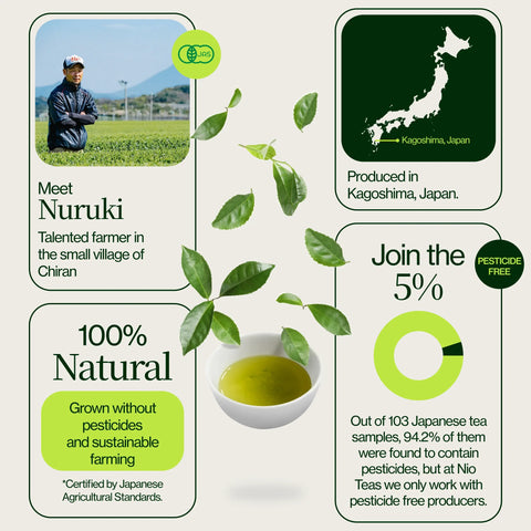Premium matcha Chiran Groene Thee