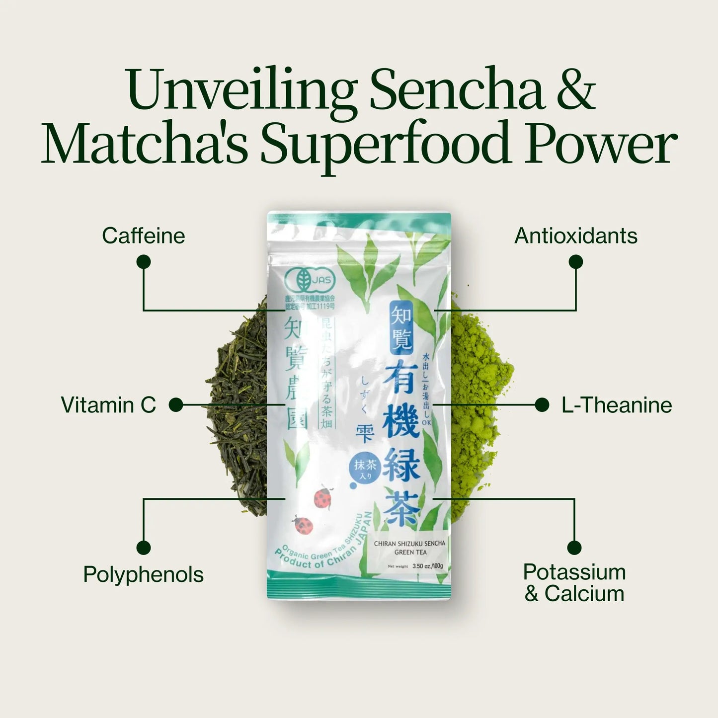Sencha Shizuku met Matchapoeder