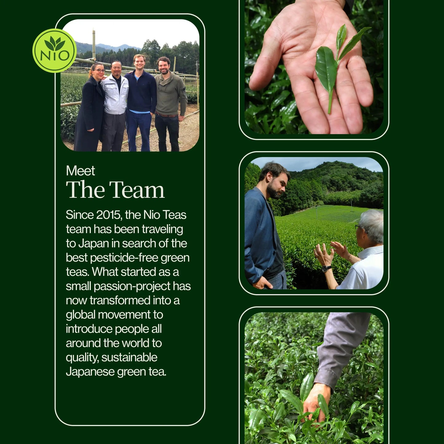 Premium Matcha Latte Poeder