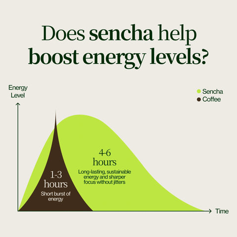 Sencha Kasugaen Asatsuyu