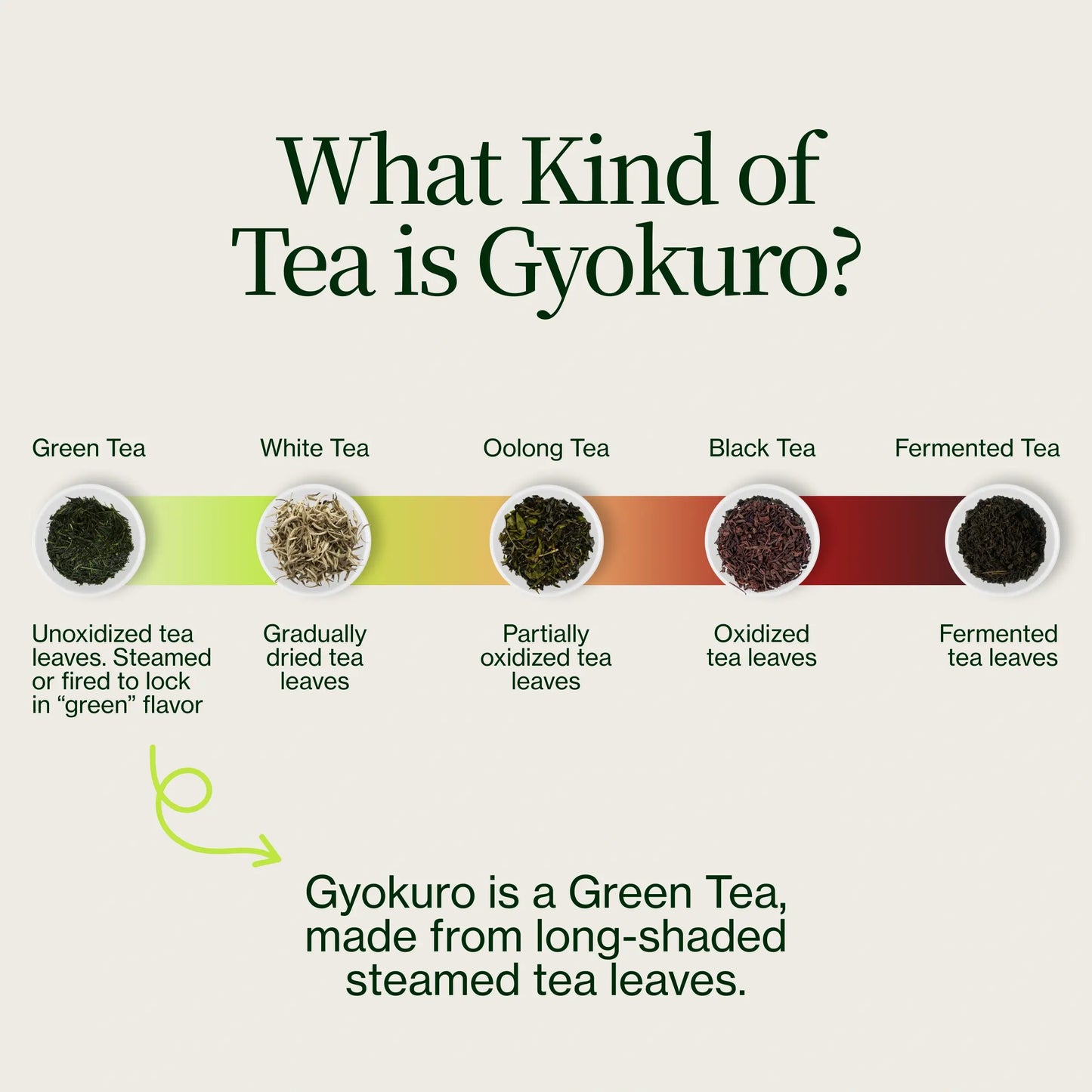 Gyokuro Imperial Green Tea Cha Musume