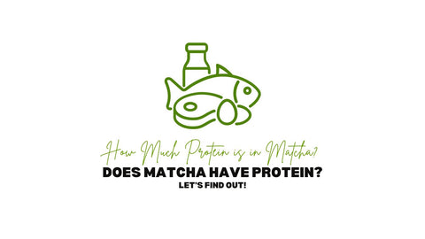 Bevat matcha eiwitten? Hoeveel eiwitten zitten er in matcha?