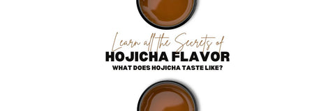 Hojicha Smaak leer wat het betekent Hojicha smaakt naar