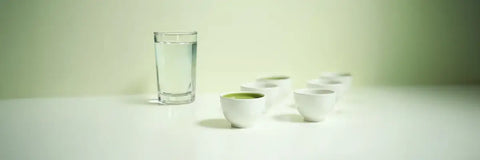 How Much Matcha Per Cup of Water? The Perfect Ratio