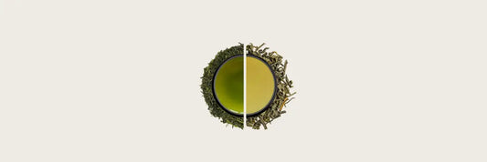 Chun Mee vs Sencha: Two Green Teas, One Clear Choice