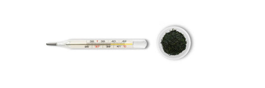 Gyokuro brouwtemperatuur