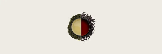 Oolong Tea vs Black Tea