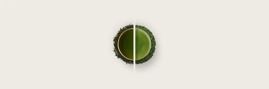 Tencha vs Sencha