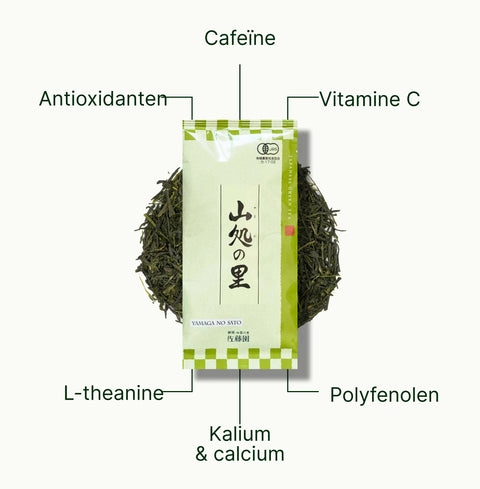 6ad768d78c221_nio-teas-sencha-shizuoka-yamaga-no-sato-nutritional-benefits_54f5df69-c4c4-4e27-9a0c-6b490a95922a_nl.webp