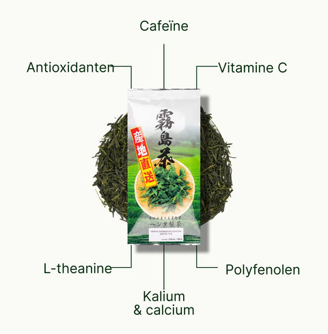 6ad768d809675_nio-teas-henta-sencha-saemidori-nutritional-benefits_17f44830-c235-4fc2-b280-f63832e4171c_nl.webp