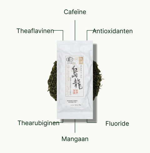 6ad768f45a546_nio-teas-miyazaki-high-mountain-oolong-tea-nutritional-benefits_44321db2-d7d1-4da9-a0b3-9d985934f32b_nl.webp