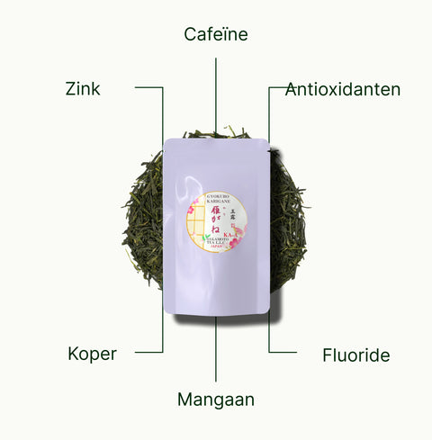 6ad768fe995ba_nio-teas-gyokuro-karigane-nutritional-benefits_ab1533f8-665c-44c6-89c7-3ce7f0ab364b_nl.webp