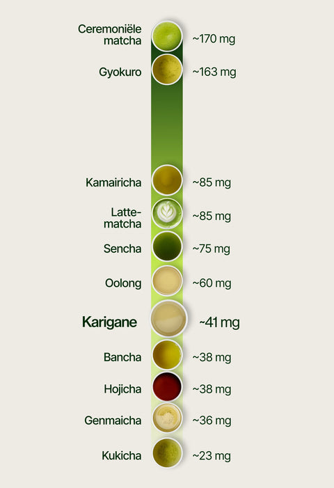 6ad7696cb96f3_caffeine-chart-karigane-v2_nl.webp