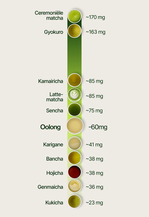 6ad7697295abe_caffeine_chart_oolong_nl.webp