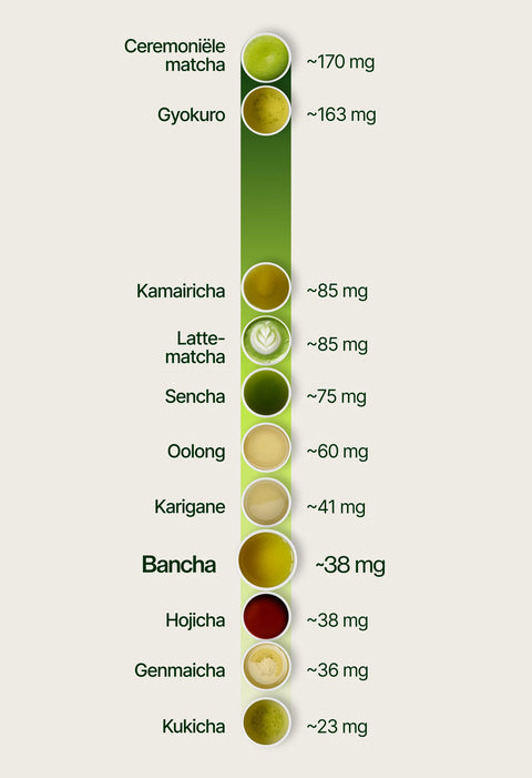 6ad76971710aa_caffeine_chart_bancha_nl.webp