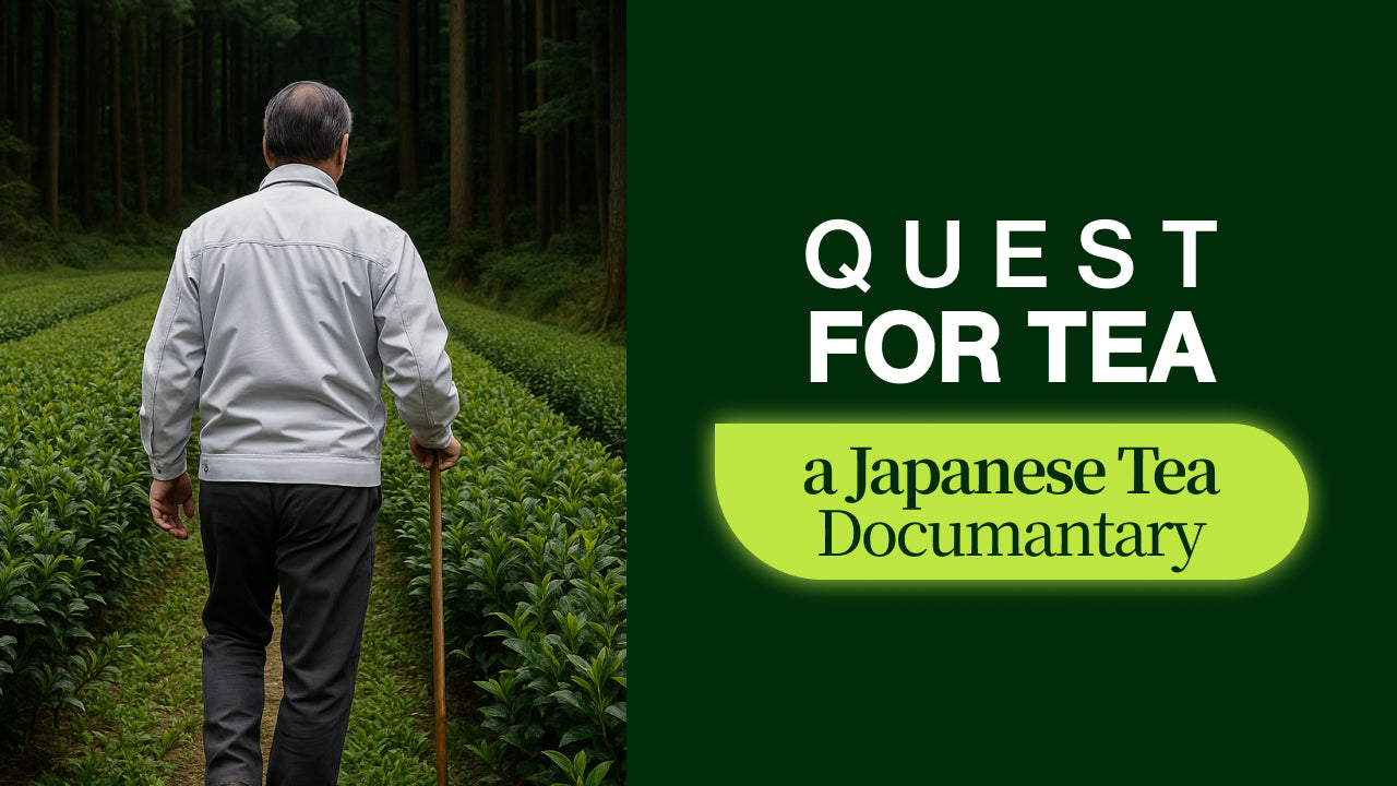 Video laden: Alles Wat U Moet Weten Over Japanse Groene Thee