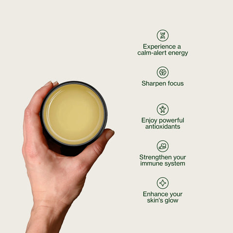Miyazaki Hooggebergte Oolong Thee