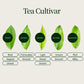 Kamairicha Groene Thee Issin