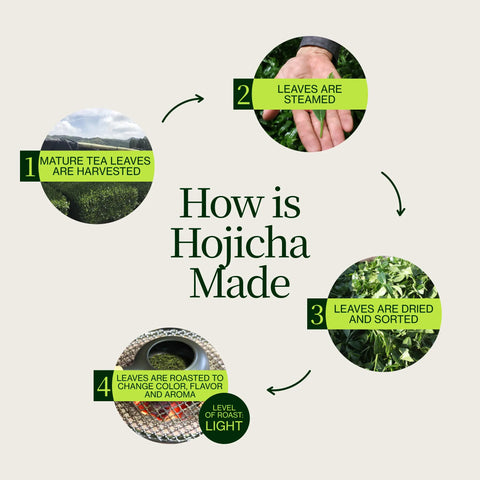 Geroosterde Hojicha Groene Thee Noike
