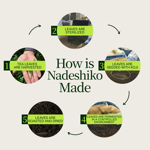 Nadeshiko Rose Japanse gefermenteerde thee