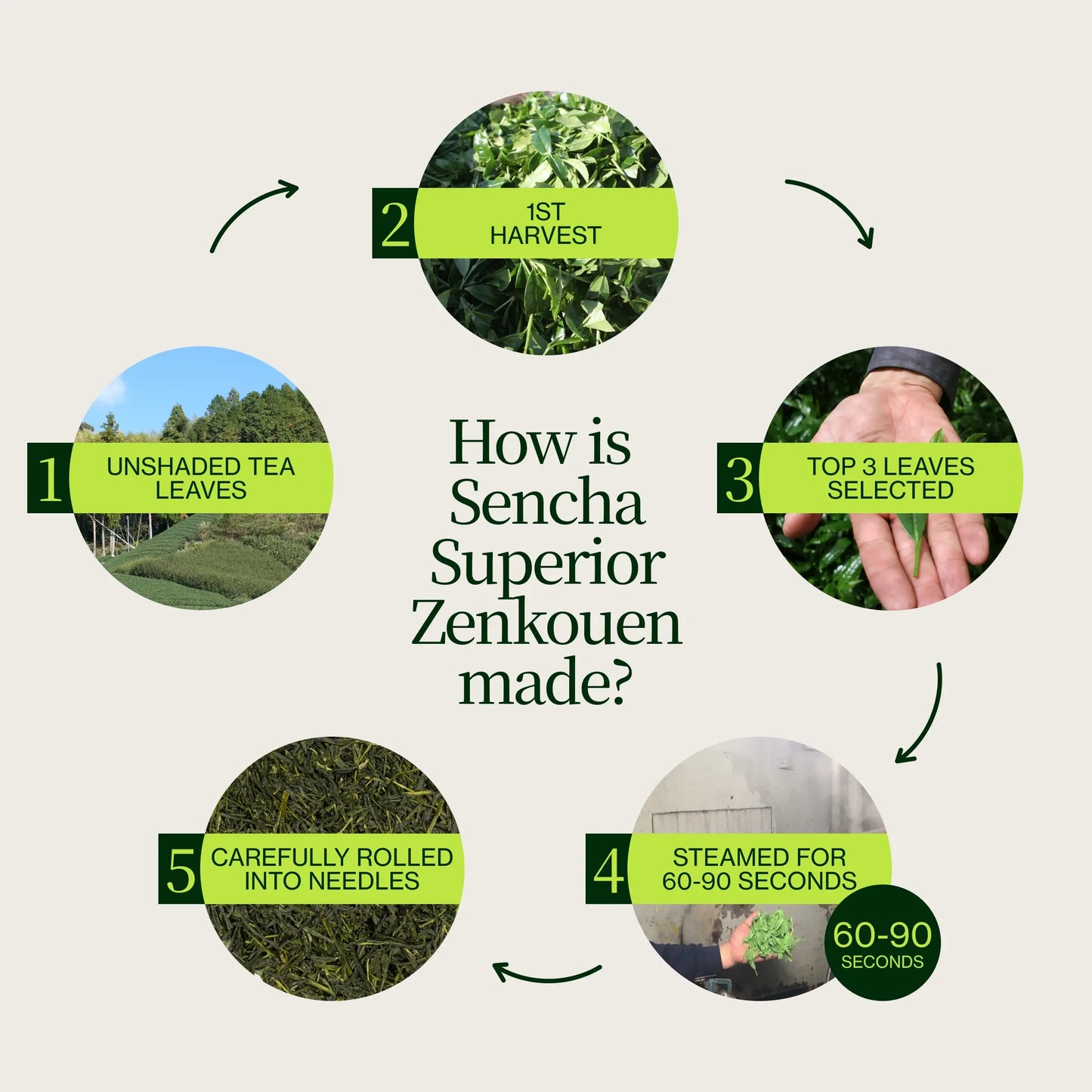 Sencha Superieure Zenkouen