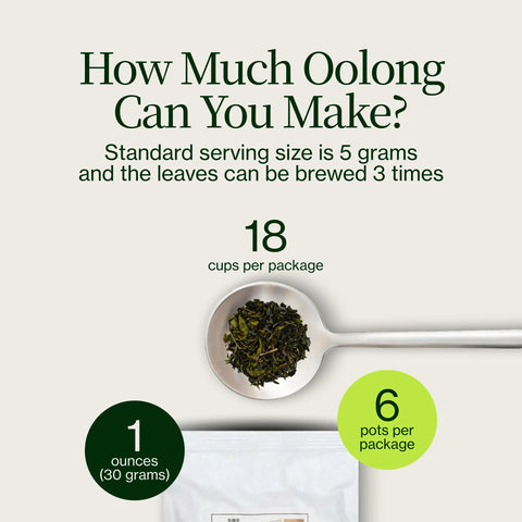 Miyazaki Hooggebergte Oolong Thee
