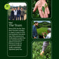 Groene thee adventskalender met theepot