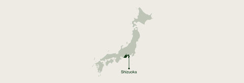 A minimalist map of Japan on a light beige background, with a darker green highlighted area near the lower center labeled 'Shizuoka'.