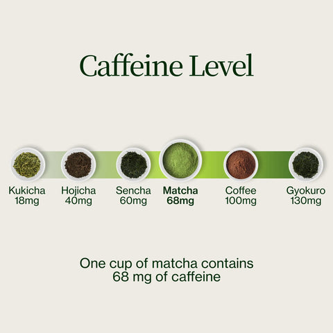 Matcha Kyoto Okumidori Chanoka