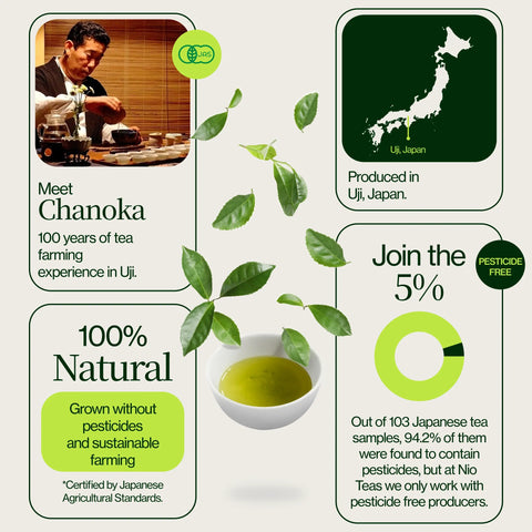 Matcha Kyoto Okumidori Chanoka
