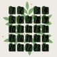 Thee-adventskalender 2026